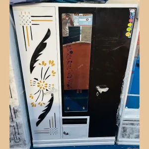 Organized Metal Wardrobe with Inner Shelves